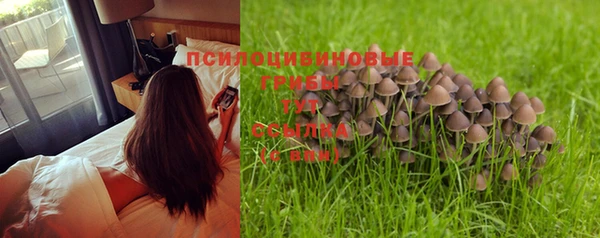 ГАЛЛЮЦИНОГЕННЫЕ ГРИБЫ Абдулино