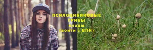 ГАЛЛЮЦИНОГЕННЫЕ ГРИБЫ Абдулино
