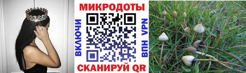 где найти   Алагир  blacksprut вход  Галлюциногенные грибы мицелий 